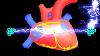 Learn The Electrical System Of The Heart In 7 Min In 2017 Dr. Tip