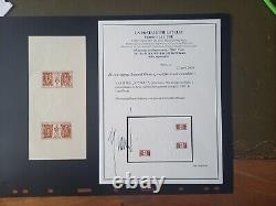 Rare variety ND yt274A colonial exhibition from new block XX certificate