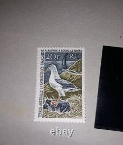 TAAF Stamp 1968 N°24 Black-browed Albatross New Without Hinge COTE 555